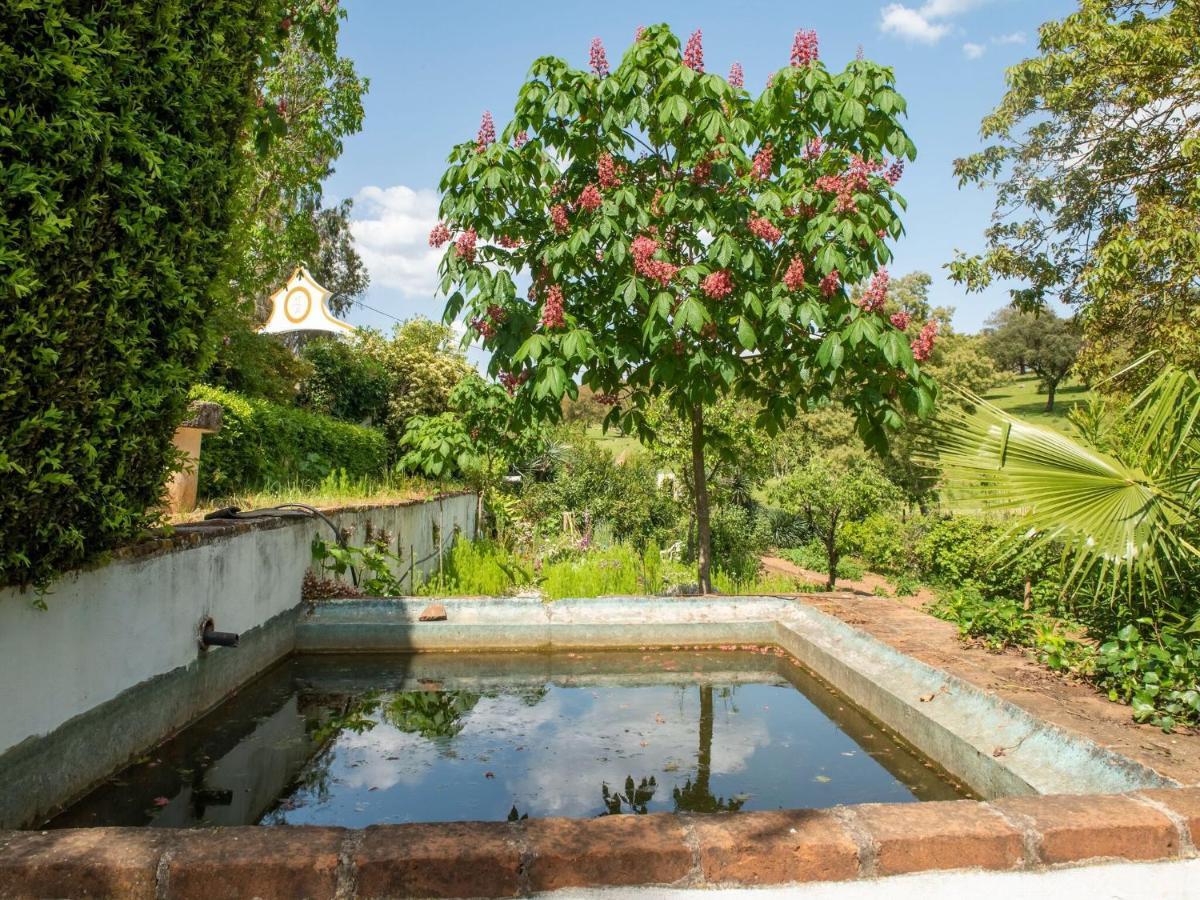 House With Authentic Tiling And Antique Furniture Villa Montemor-o-Novo Ngoại thất bức ảnh