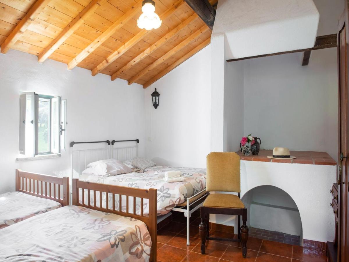 House With Authentic Tiling And Antique Furniture Villa Montemor-o-Novo Ngoại thất bức ảnh