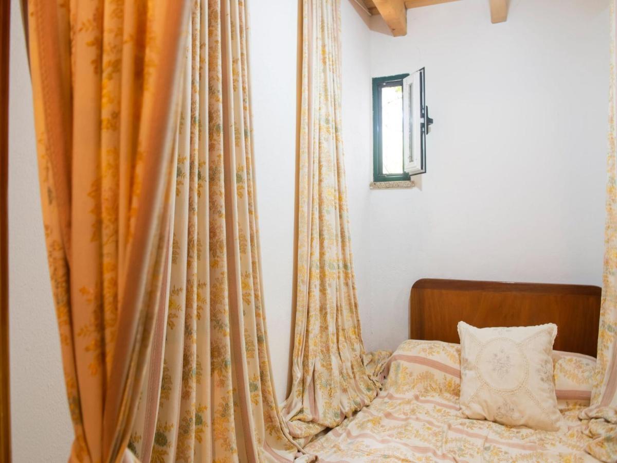 House With Authentic Tiling And Antique Furniture Villa Montemor-o-Novo Ngoại thất bức ảnh